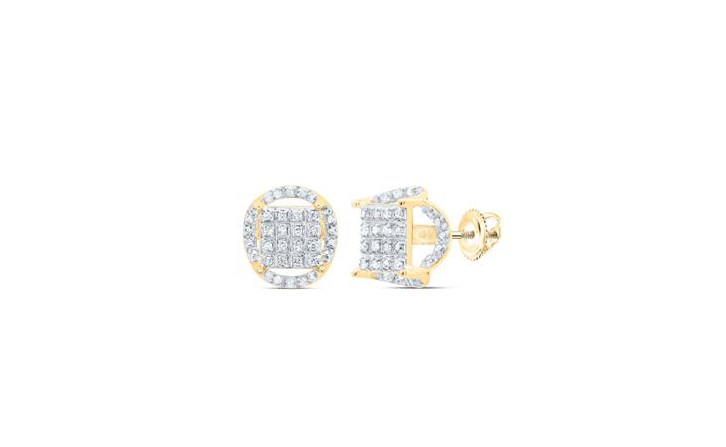 10K Round 1/5 Cttw Diamond Fashion Earrings