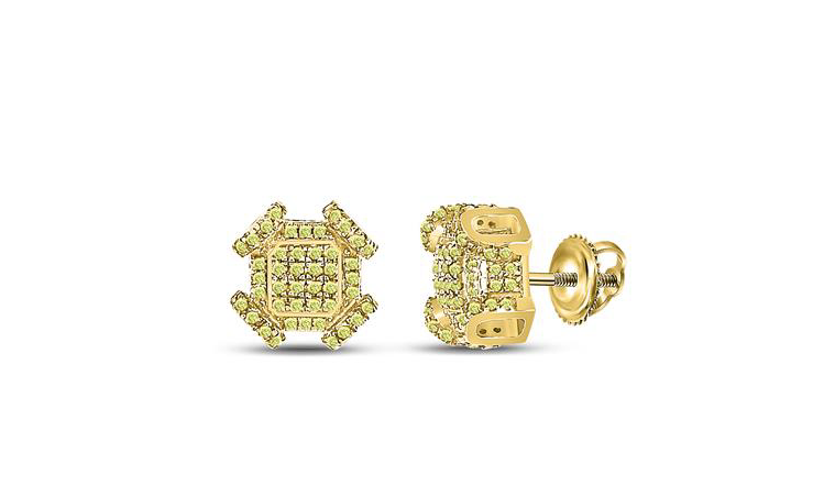 10K Natural Yellow 1/2 Cttw Diamond Earrings