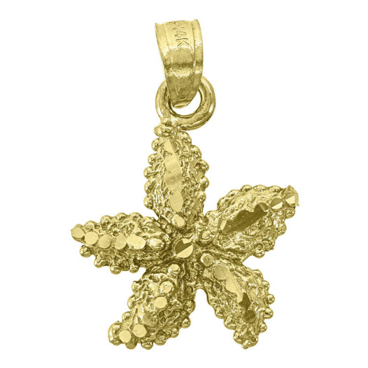 14k yellow gold starfish pendant with diamond cut detail, measuring 20.5mm x 14.1mm, no chain included